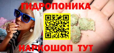 скорость Кунгур
