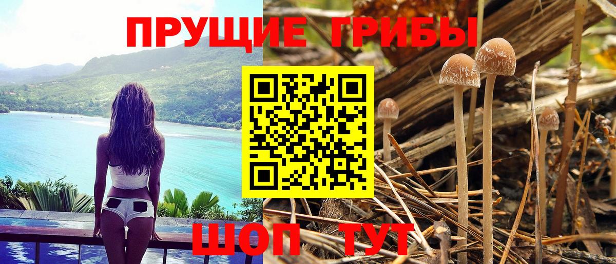 Псилоцибиновые грибы прущие грибы  Вход с VPN  Галлюциногенные грибы Cubensis  Йошкар-Ола 